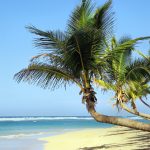 3 Reasons to Visit Jamaica at Least Once in Your Lifetime